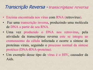Transcrição Reversa - transcriptase reversa

• Enzima encontrada nos vírus com RNA (retrovírus).
• Faz uma transcrição inversa, produzindo uma molécula
  de DNA a partir de seu RNA.
• Uma vez produzido o DNA nos retrovírus, pela
  atividade da transcriptase reversa este se integra ao
  cromossomo da célula infectada e ocorre a síntese de
  proteínas virais, seguindo o processo normal da síntese
  protéica (DNA-RNA-proteína).
• Um exemplo desse tipo de vírus é o HIV, causador da
  Aids.
 
