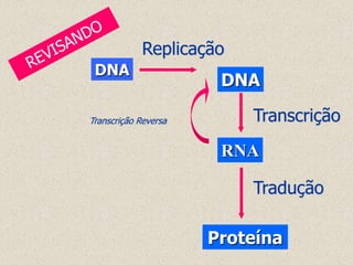 Replicação
 DNA
                       DNA

Transcrição Reversa       Transcrição
                       RNA

                          Tradução

                      Proteína
 