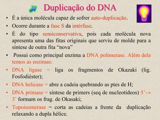 Duplicação do DNA
• É a única molécula capaz de sofrer auto-duplicação.
• Ocorre durante a fase S da intérfase.
• É do tipo semiconservativa, pois cada molécula nova
  apresenta uma das fitas originais que serviu de molde para a
  síntese de outra fita “nova”
• Possui como principal enzima a DNA polimerase. Além dela
  temos as enzimas:
• DNA ligase = liga os fragmentos de Okazaki (lig.
  Fosfodiéster);
• DNA helicase = abre a cadeia quebrando as ptes de H;
• DNA primase = síntese de primers (seq de nucleotídeos) 5’→
  3’ formam os frag. de Okasaki;
• Topoisomerase = corta as cadeias a frente da duplicação
  relaxando a dupla hélice.
 