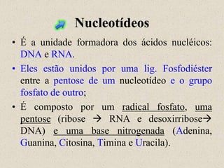 Nucleotídeos
• É a unidade formadora dos ácidos nucléicos:
  DNA e RNA.
• Eles estão unidos por uma lig. Fosfodiéster
  entre a pentose de um nucleotídeo e o grupo
  fosfato de outro;
• É composto por um radical fosfato, uma
  pentose (ribose  RNA e desoxirribose
  DNA) e uma base nitrogenada (Adenina,
  Guanina, Citosina, Timina e Uracila).
 