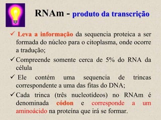 RNAm - produto da transcrição

 Leva a informação da sequencia proteica a ser
  formada do núcleo para o citoplasma, onde ocorre
  a tradução;
 Compreende somente cerca de 5% do RNA da
  célula
 Ele contém uma sequencia de trincas
  correspondente a uma das fitas do DNA;
 Cada trinca (três nucleotídeos) no RNAm é
  denominada códon e corresponde a um
  aminoácido na proteína que irá se formar.
 