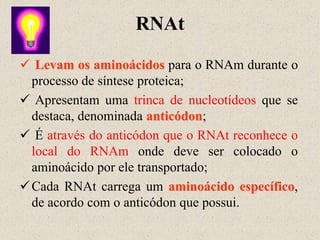 RNAt
 Levam os aminoácidos para o RNAm durante o
  processo de síntese proteica;
 Apresentam uma trinca de nucleotídeos que se
  destaca, denominada anticódon;
 É através do anticódon que o RNAt reconhece o
  local do RNAm onde deve ser colocado o
  aminoácido por ele transportado;
 Cada RNAt carrega um aminoácido específico,
  de acordo com o anticódon que possui.
 