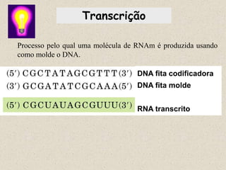 Transcrição

Processo pelo qual uma molécula de RNAm é produzida usando
como molde o DNA.

                                  DNA fita codificadora
                                  DNA fita molde


                                  RNA transcrito
 