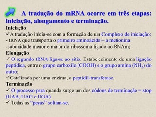 A tradução do mRNA ocorre em três etapas:
iniciação, alongamento e terminação.
Iniciação
A tradução inicia-se com a formação de um Complexo de iniciação:
- tRNA que transporta o primeiro aminoácido – a metionina
-subunidade menor e maior do ribossoma ligado ao RNAm;
Elongação
 O segundo tRNA liga-se ao sítio. Estabelecimento de uma ligação
peptídica, entre o grupo carboxilo (COOH) e o grupo amina (NH2) do
outro;
Catalizada por uma enzima, a peptidil-transferase.
Terminação
 O processo para quando surge um dos códons de terminação = stop
(UAA, UAG e UGA)
 Todas as “peças” soltam-se.
 