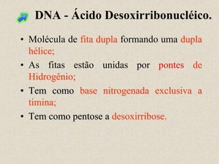 DNA - Ácido Desoxirribonucléico.
• Molécula de fita dupla formando uma dupla
  hélice;
• As fitas estão unidas por pontes de
  Hidrogênio;
• Tem como base nitrogenada exclusiva a
  timina;
• Tem como pentose a desoxirribose.
 