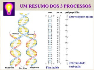 UM RESUMO DOS 3 PROCESSOS
 