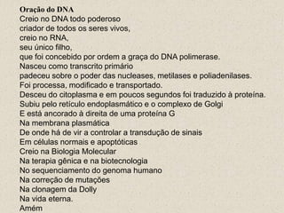 Oração do DNA
Creio no DNA todo poderoso
criador de todos os seres vivos,
creio no RNA,
seu único filho,
que foi concebido por ordem a graça do DNA polimerase.
Nasceu como transcrito primário
padeceu sobre o poder das nucleases, metilases e poliadenilases.
Foi processa, modificado e transportado.
Desceu do citoplasma e em poucos segundos foi traduzido à proteína.
Subiu pelo retículo endoplasmático e o complexo de Golgi
E está ancorado à direita de uma proteína G
Na membrana plasmática
De onde há de vir a controlar a transdução de sinais
Em células normais e apoptóticas
Creio na Biologia Molecular
Na terapia gênica e na biotecnologia
No sequenciamento do genoma humano
Na correção de mutações
Na clonagem da Dolly
Na vida eterna.
Amém
 
