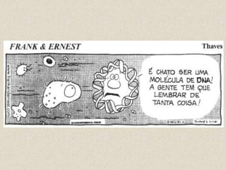 ESPECÍFICA REPLIC TRANSC E TRAD