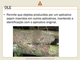 OLE
• Permite que objetos produzidos por um aplicativo
sejam inseridos em outros aplicativos, mantendo a
identificação com o aplicativo original.
 