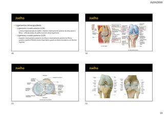 16/03/2020
13
 Ligamentos intracapsulares
 Ligamento cruzado anterior (LCA)
▪ Limita a hiperextensão do Joelho. Impede o deslizamento anterior da tíbia sobre o
fêmur. 70% das lesões de joelho ocorrem nesse ligamento.
 Ligamento cruzado posterior (LCP)
▪ Impede o deslizamento posterior da tíbia e o deslizamento anterior do fêmur,
quando o joelho é fletido (muito importante quando se desce escadas ou um declive
íngrime)
49 50
51 52
 