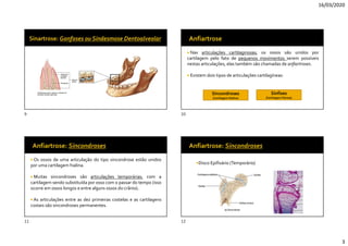 16/03/2020
3
 Nas articulações cartilaginosas, os ossos são unidos por
cartilagem pelo fato de pequenos movimentos serem possíveis
nestas articulações, elas também são chamadas de anfiartroses.
 Existem dois tipos de articulações cartilagíneas:
Sincondroses
(Cartilagem Hialina)
Sínfises
(Cartilagem Fibrosa)
 Os ossos de uma articulação do tipo sincondrose estão unidos
por uma cartilagem hialina.
 Muitas sincondroses são articulações temporárias, com a
cartilagem sendo substituída por osso com o passar do tempo (isso
ocorre em ossos longos e entre alguns ossos do crânio).
 As articulações entre as dez primeiras costelas e as cartilagens
costais são sincondroses permanentes.
Disco Epifisário (Temporário)
9 10
11 12
 