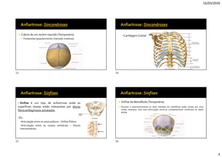 16/03/2020
4
 Crânio de um recém-nascido (Temporário)
 Fontanelas (popularmente chamado moleiras)
Cartilagem Costal
 Sínfise é um tipo de anfiartrose onde as
superfícies ósseas estão interpostas por discos
fibrocartilaginosos achatados.
Ex.
Articulação entre os ossos púbicos – Sínfise Púbica
Articulação entre os corpos vertebrais – Discos
Intervertebrais
 Sínfise da Mandíbula (Temporária).
 Durante o desenvolvimento as duas metades da mandíbula estão unidas por uma
sínfise mediana, mas essa articulação torna-se completamente ossificada na idade
adulta
13 14
15 16
 
