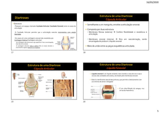 16/03/2020
5
 Estrutura:
Possuem um espaço chamado Cavidade Articular (Cavidade Sinovial) entre os ossos da
articulação
A Cavidade Articular permite que a articulação execute movimentos com ampla
liberdade.
Os ossos em uma cartilagem sinovial são revestidos por
Cartilagem Hialina (Cartilagem articular).
▪As cartilagens são estruturas cuja superfície é lisa e escorregadia,
mas não une os ossos.
▪A cartilagem articular reduz o atrito entre os ossos durante o
movimento e ajuda a absorver os impactos.
 Semelhante a um manguito, envolve a articulação sinovial.
 Composta por duas estrutura:
 Membrana fibrosa (externa)  Confere flexibilidade e resistência à
articulação.
 Membrana sinovial (interna)  Rica em vascularização, sendo
encarregada de produzir o líquido sinovial.
 Meio de união entre as peças esqueléticas articulada.
 Líquido sinovial é um líquido amarelo-claro (similar a clara de ovo crua) e
viscoso das cavidades articulares, secretado pela membrana sinovial.
 Este é o lubrificante natural das junturas, que permite o deslizamento com
um mínimo de atrito e desgaste
 É um ultra-filtrado do sangue, rico
em ácido hialurônico.
17 18
19 20
 