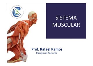 SISTEMA
MUSCULAR
Prof. Rafael Ramos
Disciplina de Anatomia
 