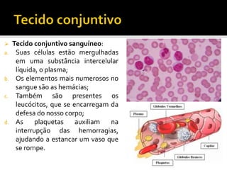  Tecido conjuntivo sanguíneo:
a. Suas células estão mergulhadas
em uma substância intercelular
líquida, o plasma;
b. Os elementos mais numerosos no
sangue são as hemácias;
c. Também são presentes os
leucócitos, que se encarregam da
defesa do nosso corpo;
d. As plaquetas auxiliam na
interrupção das hemorragias,
ajudando a estancar um vaso que
se rompe.
 