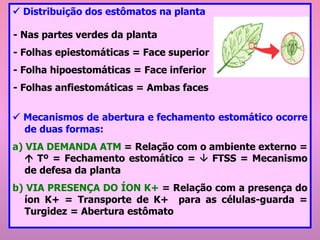 ✓ Distribuição dos estômatos na planta
✓ Mecanismos de abertura e fechamento estomático ocorre
de duas formas:
a) VIA DEMANDA ATM = Relação com o ambiente externo =
 Tº = Fechamento estomático =  FTSS = Mecanismo
de defesa da planta
b) VIA PRESENÇA DO ÍON K+ = Relação com a presença do
íon K+ = Transporte de K+ para as células-guarda =
Turgidez = Abertura estômato
- Nas partes verdes da planta
- Folhas epiestomáticas = Face superior
- Folha hipoestomáticas = Face inferior
- Folhas anfiestomáticas = Ambas faces
 
