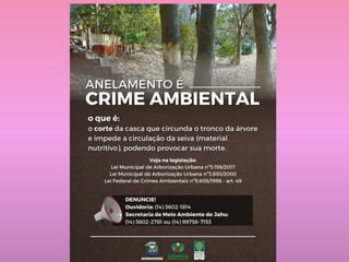 Aula 3 - Tec vegetais 2023 NOVO.pdf