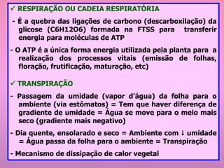 ✓ RESPIRAÇÃO OU CADEIA RESPIRATÓRIA
- É a quebra das ligações de carbono (descarboxilação) da
glicose (C6H12O6) formada na FTSS para transferir
energia para moléculas de ATP
- O ATP é a única forma energia utilizada pela planta para a
realização dos processos vitais (emissão de folhas,
floração, frutificação, maturação, etc)
✓ TRANSPIRAÇÃO
- Passagem da umidade (vapor d’água) da folha para o
ambiente (via estômatos) = Tem que haver diferença de
gradiente de umidade = Água se move para o meio mais
seco (gradiente mais negativo)
- Dia quente, ensolarado e seco = Ambiente com  umidade
= Água passa da folha para o ambiente = Transpiração
- Mecanismo de dissipação de calor vegetal
 