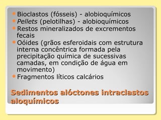Sedimentos alóctones intraclastosSedimentos alóctones intraclastos
aloquímicosaloquímicos
Bioclastos (fósseis) - alobioquímicos
Pellets (pelotilhas) - alobioquímicos
Restos mineralizados de excrementos
fecais
Oóides (grãos esferoidais com estrutura
interna concêntrica formada pela
precipitação química de sucessivas
camadas, em condição de água em
movimento)
Fragmentos líticos calcários
 