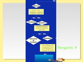 Pergunta 4
 