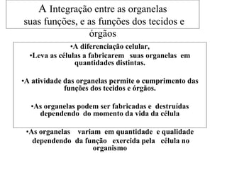 A Integração entre as organelas
suas funções, e as funções dos tecidos e
órgãos
•A diferenciação celular,
•Leva as células a fabricarem suas organelas em
quantidades distintas.
•A atividade das organelas permite o cumprimento das
funções dos tecidos e órgãos.
•As organelas podem ser fabricadas e destruídas
dependendo do momento da vida da célula
•As organelas variam em quantidade e qualidade
dependendo da função exercida pela célula no
organismo
 