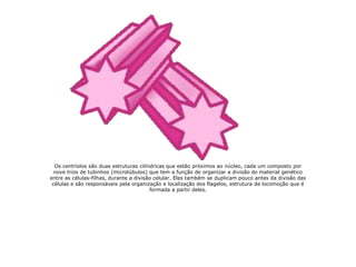 Os centríolos são duas estruturas cilíndricas que estão próximos ao núcleo, cada um composto por
nove trios de tubinhos (microtúbulos) que tem a função de organizar a divisão do material genético
entre as células-filhas, durante a divisão celular. Eles também se duplicam pouco antes da divisão das
células e são responsáveis pela organização e localização dos flagelos, estrutura de locomoção que é
formada a partir deles.
 