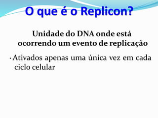 Unidade do DNA onde está
ocorrendo um evento de replicação
• Ativados apenas uma única vez em cada
ciclo celular
O que é o Replicon?
 