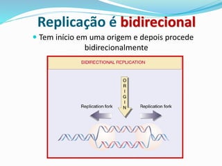  Tem início em uma origem e depois procede
bidirecionalmente
Replicação é bidirecional
 
