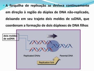  A forquilha de replicação se desloca continuamente
em direção à região do dúplex de DNA não-replicado,
deixando em seu trajeto dois moldes de ssDNA, que
coordenam a formação de dois dúplexes de DNA filhos
dois moldes
de ssDNA
 