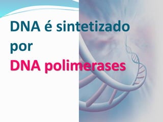 DNA é sintetizado
por
DNA polimerases
 