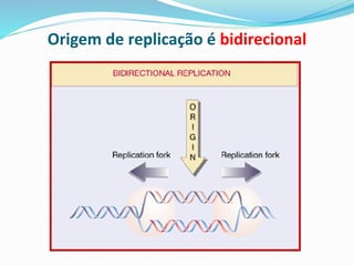 Origem de replicação é bidirecional
 