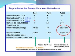 (revisora)
(remove
primer)
 