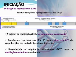 INICIAÇÃO
1º estágio da replicação em E.coli
• A origem de replicação OriC é extremamente conservada
• Sequências repetidas com 9 e 13 bases, ricas em A-T são
reconhecidas por mais de 9 enzimas diferentes
• Reconhecida na sequência palindrômica GATC, alvo de
metilação enzimática na adenina
Estrutura da origem de replicação bacteriana oriC- 245 pb
 