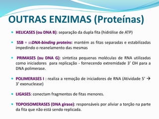  HELICASES (ou DNA B): separação da dupla fita (hidrólise de ATP)
 SSB = ssDNA-binding proteins: mantém as fitas separadas e estabilizadas
impedindo o reanelamento das mesmas
 PRIMASES (ou DNA G): sintetiza pequenas moléculas de RNA utilizadas
como iniciadores para replicação - fornecendo extremidade 3’ OH para a
DNA polimerase.
 POLIMERASES I : realiza a remoção de iniciadores de RNA (Atividade 5’ →
3’ exonuclease)
 LIGASES: conectam fragmentos de fitas menores.
 TOPOISOMERASES (DNA girase): responsáveis por aliviar a torção na parte
da fita que não está sendo replicada.
OUTRAS ENZIMAS (Proteínas)
 
