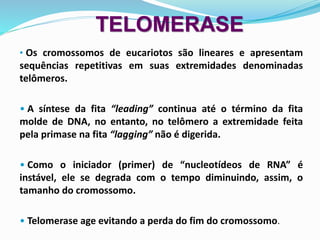TELOMERASE
• Os cromossomos de eucariotos são lineares e apresentam
sequências repetitivas em suas extremidades denominadas
telômeros.
• A síntese da fita “leading” continua até o término da fita
molde de DNA, no entanto, no telômero a extremidade feita
pela primase na fita “lagging” não é digerida.
• Como o iniciador (primer) de “nucleotídeos de RNA” é
instável, ele se degrada com o tempo diminuindo, assim, o
tamanho do cromossomo.
• Telomerase age evitando a perda do fim do cromossomo.
 