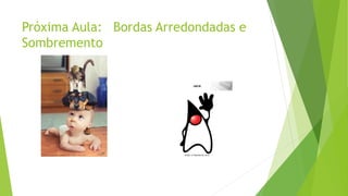 Próxima Aula: Bordas Arredondadas e
Sombremento
 