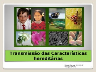 Transmissão das Características
hereditárias
Magda Charrua 2011/2012
Biologia 12º ano 2
 