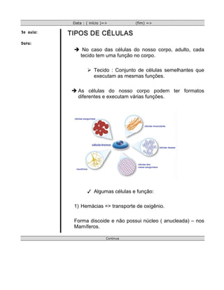 Data : ( início )=>          (fim) =>

3o aula:   TIPOS DE CÉLULAS
Data:
            è No caso das células do nosso corpo, adulto, cada
              tecido tem uma função no corpo.

                   Ø Tecido : Conjunto de células semelhantes que
                      executam as mesmas funções.

           è As células do nosso corpo podem ter formatos
              diferentes e executam várias funções.




                    Algumas células e função:

            1) Hemácias => transporte de oxigênio.

            Forma discoide e não possui núcleo ( anucleada) – nos
            Mamíferos.

                              Continua
 