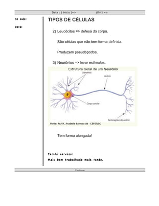 Data : ( início )=>          (fim) =>

3o aula:   TIPOS DE CÉLULAS
Data:
             2) Leucócitos => defesa do corpo.

                 São células que não tem forma definida.

                 Produzem pseudópodos.

             3) Neurônios => levar estímulos.




                 Tem forma alongada!




           Tecido nervoso:
           Mais bem trabalhado mais tarde.


                               Continua
 