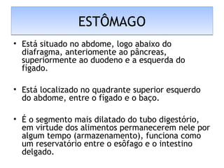 ESTÔMAGOESTÔMAGO
• Está situado no abdome, logo abaixo do
diafragma, anteriomente ao pâncreas,
superiormente ao duodeno e a esquerda do
fígado.
• Está localizado no quadrante superior esquerdo
do abdome, entre o fígado e o baço.
• É o segmento mais dilatado do tubo digestório,
em virtude dos alimentos permanecerem nele por
algum tempo (armazenamento), funciona como
um reservatório entre o esôfago e o intestino
delgado.
 