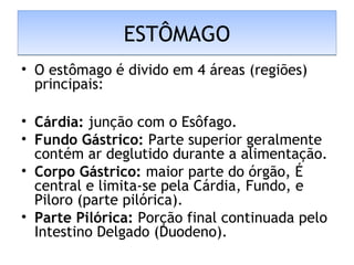 ESTÔMAGOESTÔMAGO
• O estômago é divido em 4 áreas (regiões)
principais:
• Cárdia: junção com o Esôfago.
• Fundo Gástrico: Parte superior geralmente
contém ar deglutido durante a alimentação.
• Corpo Gástrico: maior parte do órgão, É
central e limita-se pela Cárdia, Fundo, e
Piloro (parte pilórica).
• Parte Pilórica: Porção final continuada pelo
Intestino Delgado (Duodeno).
 