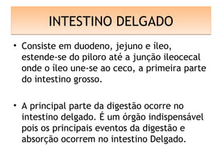 INTESTINO DELGADOINTESTINO DELGADO
• Consiste em duodeno, jejuno e íleo,
estende-se do piloro até a junção ileocecal
onde o íleo une-se ao ceco, a primeira parte
do intestino grosso.
• A principal parte da digestão ocorre no
intestino delgado. É um órgão indispensável
pois os principais eventos da digestão e
absorção ocorrem no intestino Delgado.
 