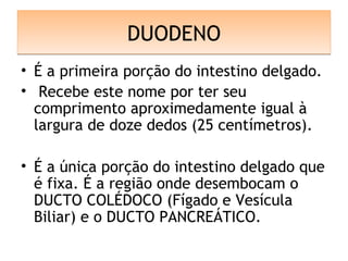 DUODENODUODENO
• É a primeira porção do intestino delgado.
• Recebe este nome por ter seu
comprimento aproximedamente igual à
largura de doze dedos (25 centímetros).
• É a única porção do intestino delgado que
é fixa. É a região onde desembocam o
DUCTO COLÉDOCO (Fígado e Vesícula
Biliar) e o DUCTO PANCREÁTICO.
 
