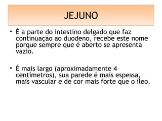 JEJUNOJEJUNO
• É a parte do intestino delgado que faz
continuação ao duodeno, recebe este nome
porque sempre que é aberto se apresenta
vazio.
• É mais largo (aproximadamente 4
centímetros), sua parede é mais espessa,
mais vascular e de cor mais forte que o íleo.
 