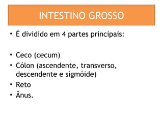 INTESTINO GROSSO
• É dividido em 4 partes principais:
• Ceco (cecum)
• Cólon (ascendente, transverso,
descendente e sigmóide)
• Reto
• Ânus.
 