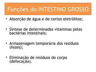 Funções do INTESTINO GROSSO
• Absorção de água e de certos eletrólitos;
• Síntese de determinadas vitaminas pelas
bactérias intestinais;
• Armazenagem temporária dos resíduos
(fezes);
• Eliminação de resíduos do corpo
(defecação).
 