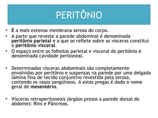 PERITÔNIO
• É a mais extensa membrana serosa do corpo.
• A parte que reveste a parede abdominal é denominada
peritônio parietal e a que se reflete sobre as vísceras constitui
o peritônio visceral.
• O espaço entre os folhetos parietal e visceral do peritônio é
denominada cavidade peritoneal.
• Determinadas vísceras abdominais são completamente
envolvidas por peritônio e suspensas na parede por uma delgada
lâmina fina de tecido conjuntivo revestida pela serosa,
contendo os vasos sangüíneos. A estas pregas é dado o nome
geral de mesentério.
• Vísceras retroperitoneais (órgãos presos a parede dorsal do
abdome): Rins e Pâncreas.
 