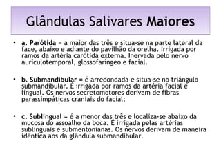 Glândulas Salivares MaioresGlândulas Salivares Maiores
• a. Parótida = a maior das três e situa-se na parte lateral da
face, abaixo e adiante do pavilhão da orelha. Irrigada por
ramos da artéria carótida externa. Inervada pelo nervo
auriculotemporal, glossofaríngeo e facial.
• b. Submandibular = é arredondada e situa-se no triângulo
submandibular. É irrigada por ramos da artéria facial e
lingual. Os nervos secretomotores derivam de fibras
parassimpáticas craniais do facial;
• c. Sublingual = é a menor das três e localiza-se abaixo da
mucosa do assoalho da boca. É irrigada pelas artérias
sublinguais e submentonianas. Os nervos derivam de maneira
idêntica aos da glândula submandibular.
 