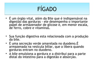 FÍGADOFÍGADO
• É um órgão vital, além da Bile que é indispensával na
digestão das gorduras - ele desempenha o importante
papel de armazenador de glicose e, em menor escala,
de ferro, cobre e vitaminas.
• Sua função digestiva esta relacionada com a produção
da bile.
• É uma secreção verde amarelada no duodeno.É
armazenada na vesícula biliar, que a libera quando
gorduras entram no duodeno.
• A bile emulsiona a gordura e a distribui para a parte
distal do intestino para a digestão e absorção.
 