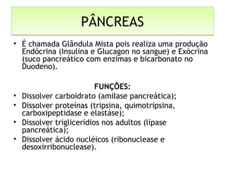 PÂNCREASPÂNCREAS
• É chamada Glândula Mista pois realiza uma produção
Endócrina (Insulina e Glucagon no sangue) e Exócrina
(suco pancreático com enzimas e bicarbonato no
Duodeno).
FUNÇÕES:
• Dissolver carboidrato (amilase pancreática);
• Dissolver proteínas (tripsina, quimotripsina,
carboxipeptidase e elastáse);
• Dissolver triglicerídios nos adultos (lípase
pancreática);
• Dissolver ácido nucléicos (ribonuclease e
desoxirribonuclease).
 